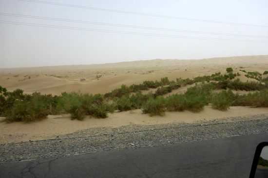 ... auf beiden Seiten.
Grün in der Sandwüste?