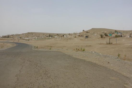 Sieht aus wie ein Aufforstungs-Projekt ...