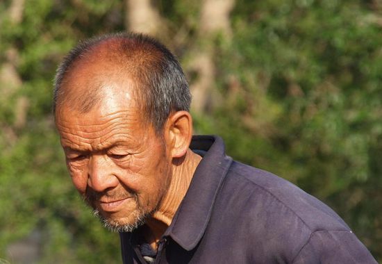 Chinesische Charakterköpfe ...