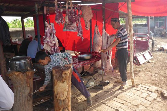 ... unmittelbare Verarbeitung ...