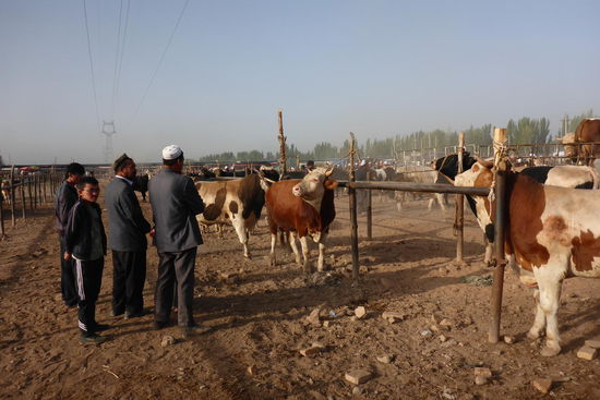 ... Begutachtung ...