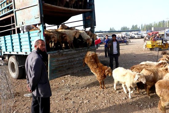 ... Tiere sind Ware ...