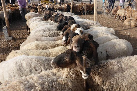 ... warten auf den Schächter
"Sweatwater wartet auf Dich"
"Irgendeiner wartet immer" 
(Schlußszene in "Spiel mir das Lied vom Tod")
