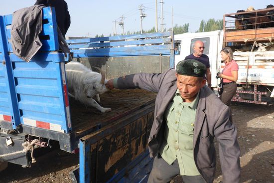 ... vielleicht ist die Behandlung der Tiere deshalb so herzlos