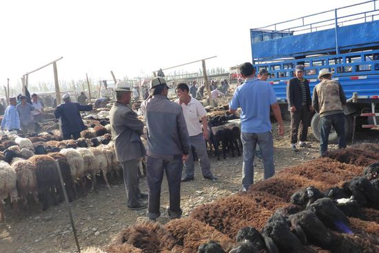 Die Verhandlungen sind lautstark ...