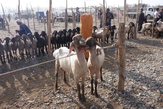 ... der Abschluß erfolgt per Handschlag
