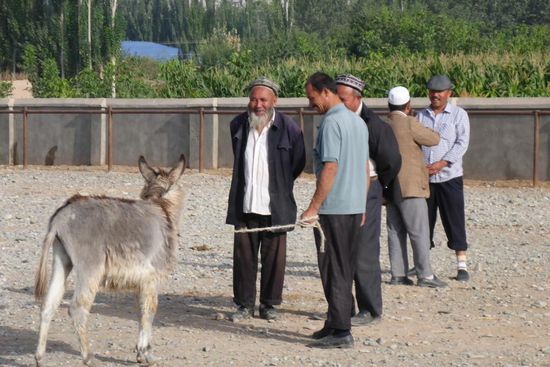 Noch bei der Verhandlung