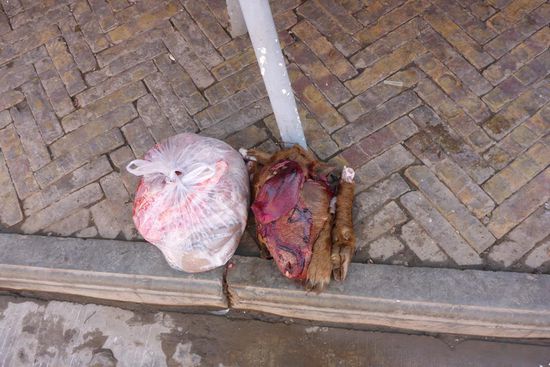 Müll am Straßenrand