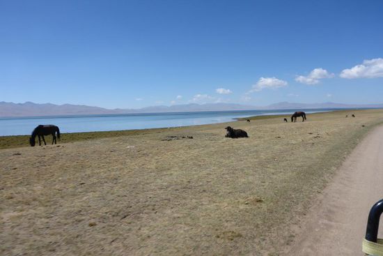 ... auf einer Höhe von 3 016 m üNN ...