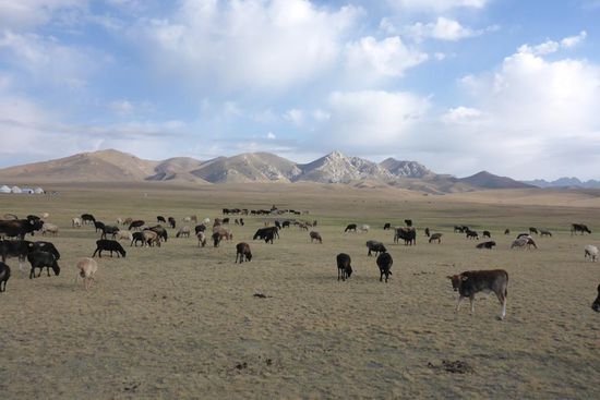 Abschied am nächsten Morgen von ...