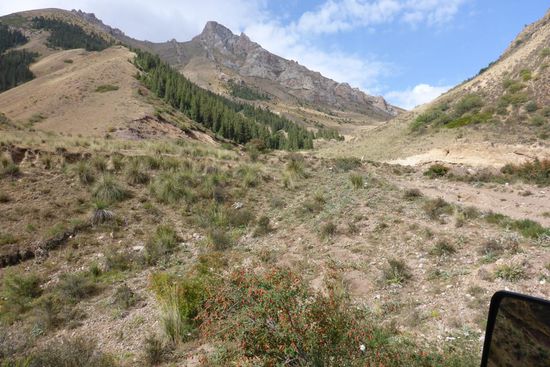 ... durch eine Traumlandschaft