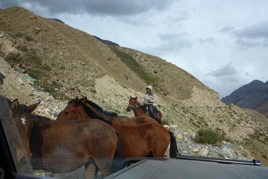 ... weicht freundlicherweise aus