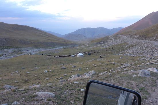 Die Nacht verbringen die Tiere im Gehege, in dieser Region gibt es Raubtiere, u. a. Wölfe und Bären