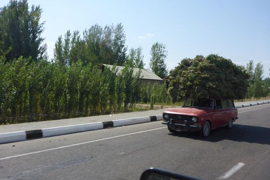 ... nicht selten gut beladen