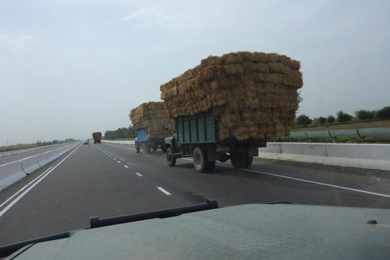 Wieder zwei Ladeweltmeister
