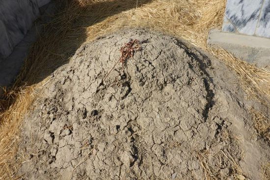 ... oder ganz einfach, diese Blume ist schon lange verdorrt ...