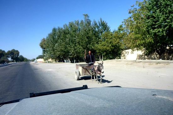 Esel sind hier die bevorzugten Zug- und auch Reittiere