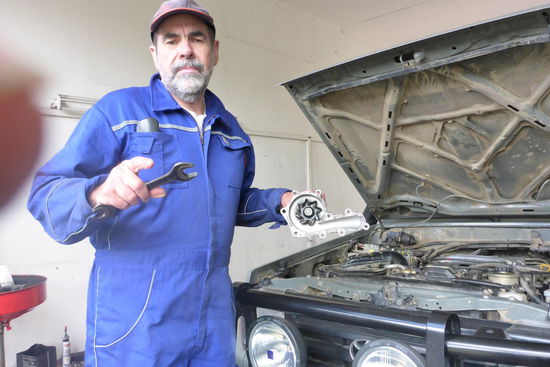 Bei der Transplantation