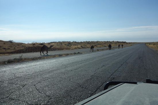 ... halten sich an die ...