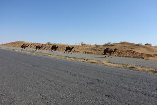 ... Verkehrsregeln ...