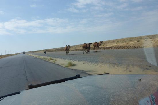 ... hier mit motorisiertem Guide