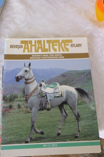 Akhal-Teke Pferde ...