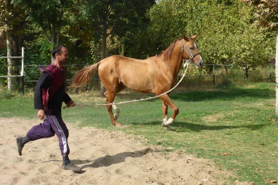 ... werden in Turkmenistan ...