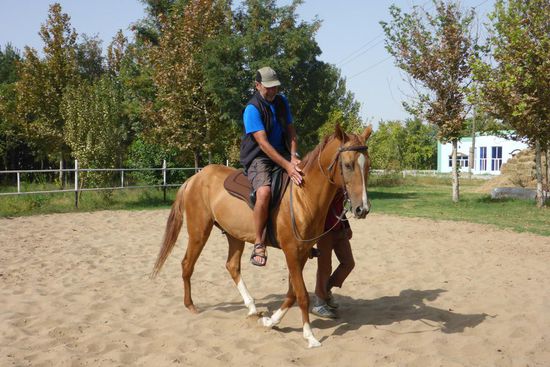 der Reiter hat mehr Spaß als das wertvolle Tier