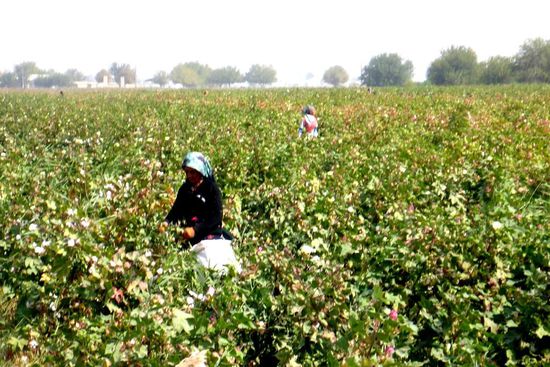 ... bei der Arbeit, in der Regel arbeiten hier Mädchen und Frauen
