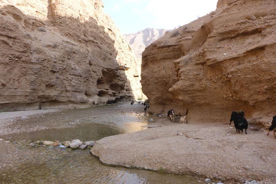 ... Agah Morteza Ali der Safaviden ...