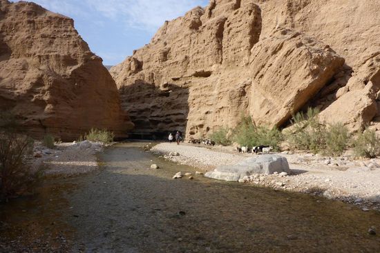 ... das Wasser ist warm ...