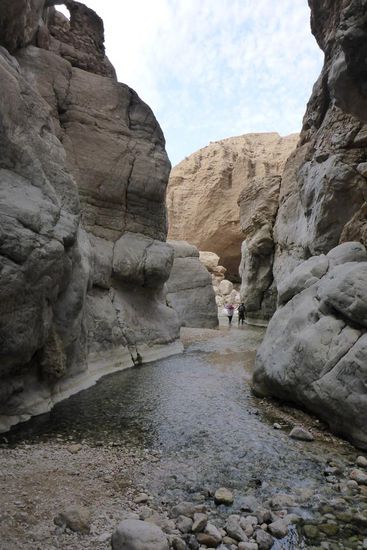 ... durch das warme Wasser ...