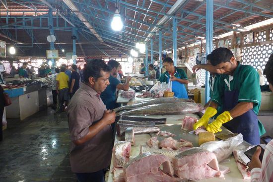 ... zum Fischmarkt ...