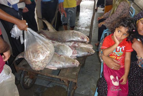 ... das Angebot ist ...