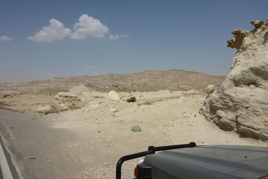 Hier wächst fast nichts, 
die Wüste reicht bis an den Strand