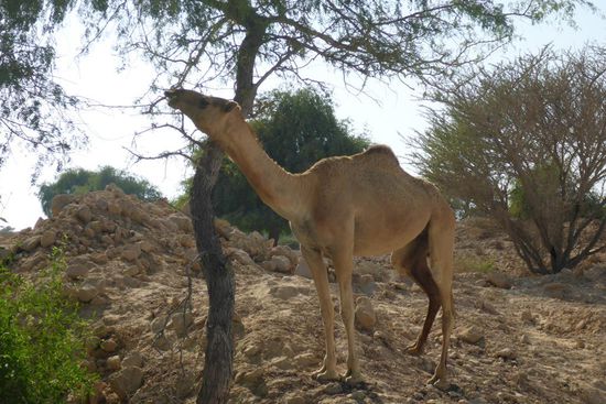 ... was man bekommen kann