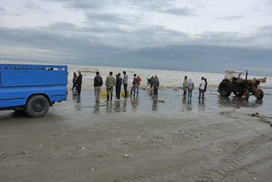 Professioneller Fischfang ...