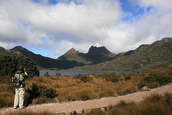 Blick auf den Lake Dove.
Im Hintergrund sieht man links das "Little Horn" und den "Cradle Mountain" mit seinen vielen Spitzen.