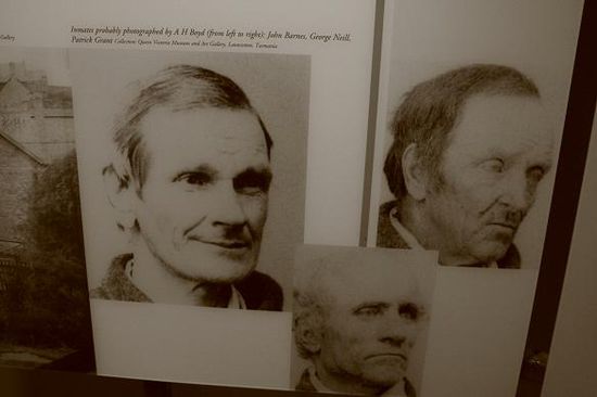 Leidensgenossen