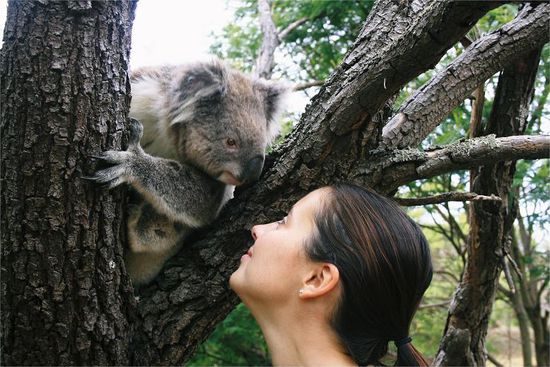 ...da koennen sich zwei "Huehner" gut riechen...