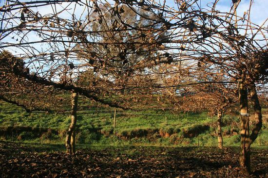 Danach sehen die Felder so aus.