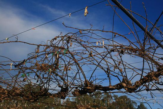 ... ganz harmlos oder 