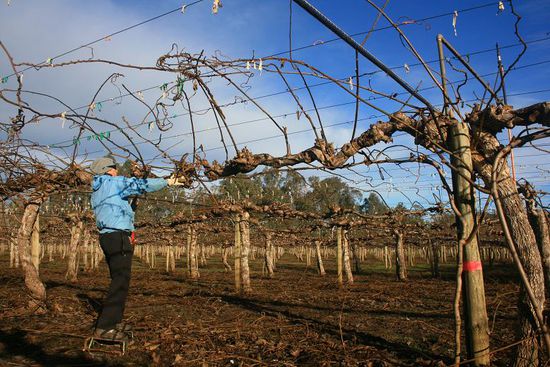 Uns es wurde Licht am Bayhimmel