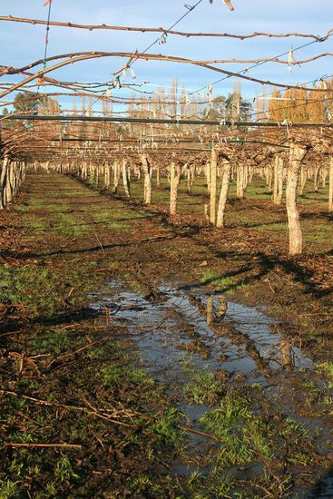 Matschbay, zum Glueck hatten wir dafuer Stelzenschuhe (siehe Bild mit Claudia)