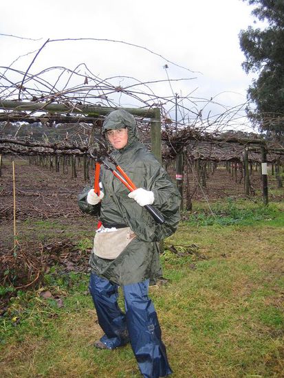 Auch bei Regen haben wir durchgearbeitet. Es galt keine Zeit zu verlieren....