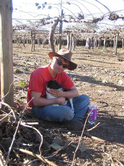 Der Liebling bei allen Arbeitern auf der Plantage war unschlagbar Missy...
