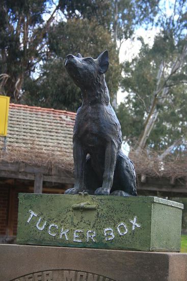 ..."und der Hund sitzt auf der Tuckerbox, 9 Meilen von Gundagai..." 
In Gundagai entstand das beruehmte australische Volkslied, als ein armer Arbeiter sich nach einem anstrengenden Arbeitstag auf sein Essen freute. Er hatte Pech denn ein Hund sass auf der Futterbox und lies ihn nicht ran...