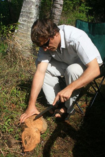 ... und ernteten Kokosnuesse...