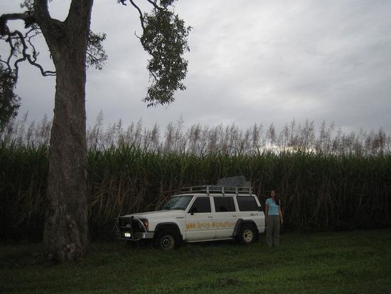 Wenn uns die Polizei vom Strand vertrieben hat, dann war das kein Worries und wir fanden andere schoene Schlafplatz z.B. in den Zuckerrohrfeldern umgeben von Schlangen, Fledermaeusen und anderem Getier.