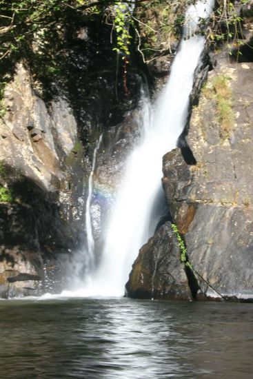 Es gibt unzaehlige Wasserfaelle.